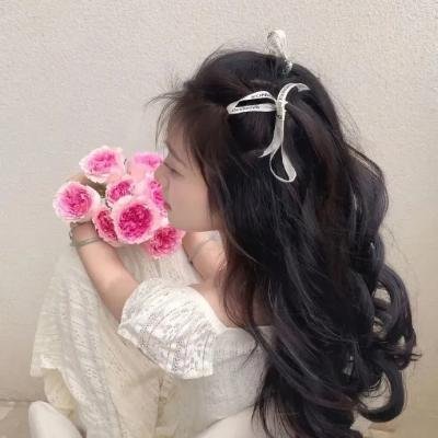 飞女芝芝 海报